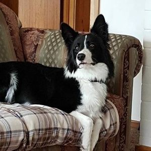 Meet your Posher, Dale